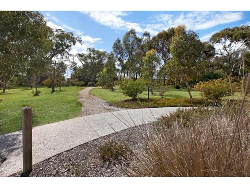 51 Avocet Drive, Mawson Lakes SA 5095