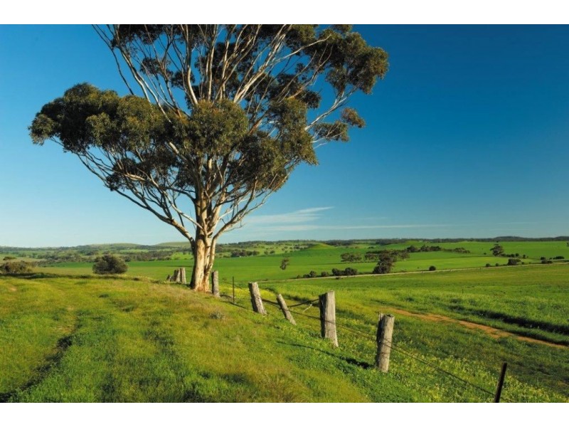 . Five Shillings, Kapunda SA 5373