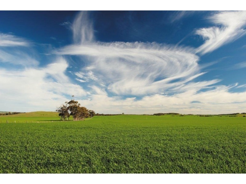 . Five Shillings, Kapunda SA 5373