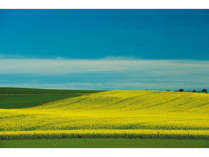 . Five Shillings, Kapunda SA 5373