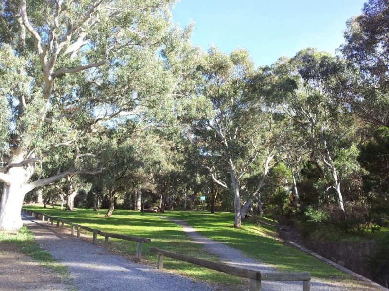 112 Shakespeare Avenue, Magill SA 5072