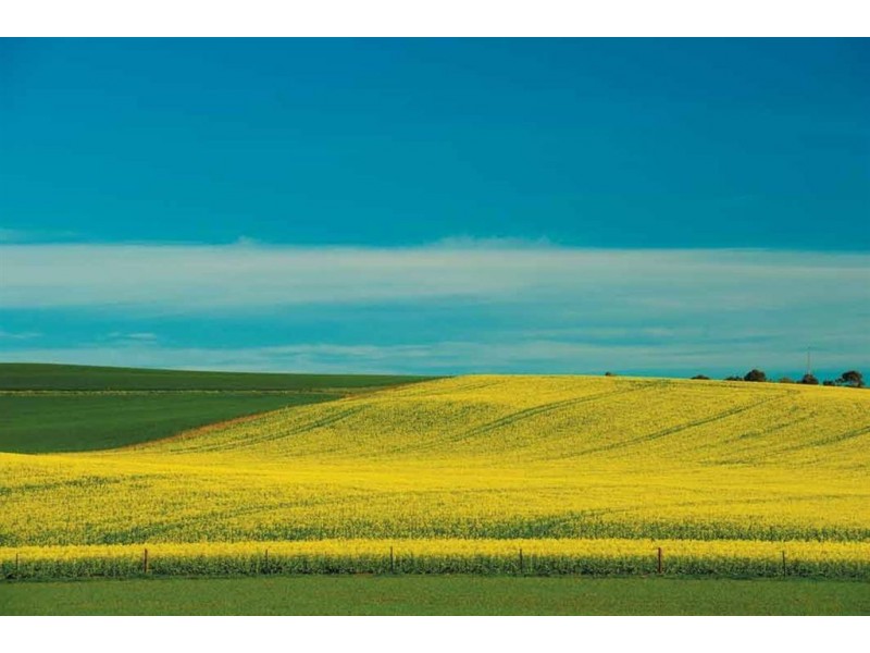 Lot 1 Maxwell Street, Kapunda SA 5373