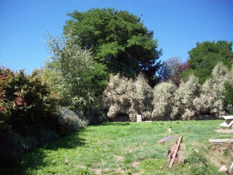 19 Jamieson St, Daylesford VIC 3460