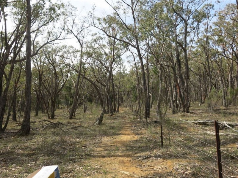 150 Acacia Road, Creswick North VIC 3363