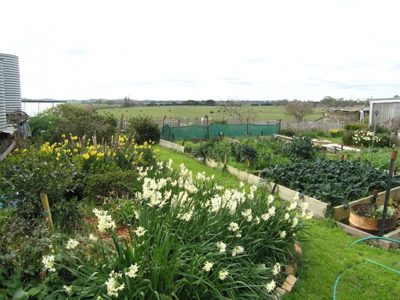 10 Scobles Road, Drummond VIC 3461