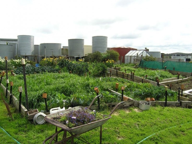 10 Scobles Road, Drummond VIC 3461