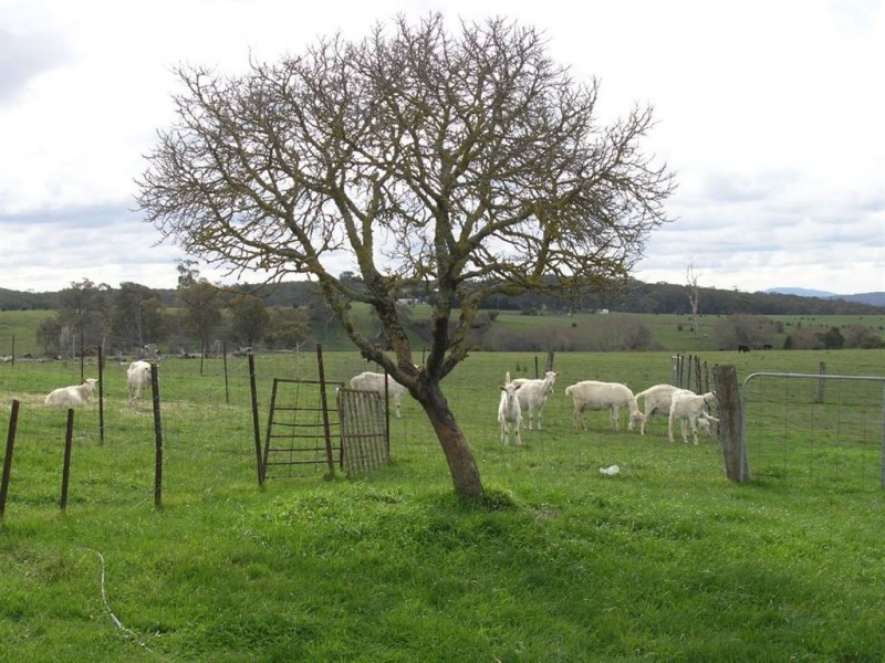 10 Scobles Road, Drummond VIC 3461