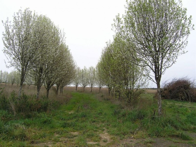 45 Wheelers Hill Road, Musk VIC 3461