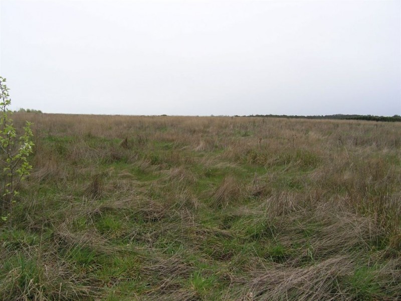 45 Wheelers Hill Road, Musk VIC 3461