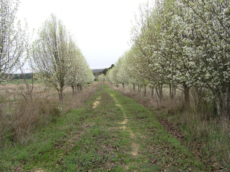 45 Wheelers Hill Road, Musk VIC 3461