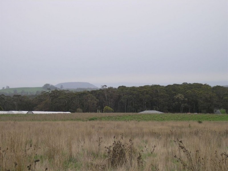 45 Wheelers Hill Road, Musk VIC 3461