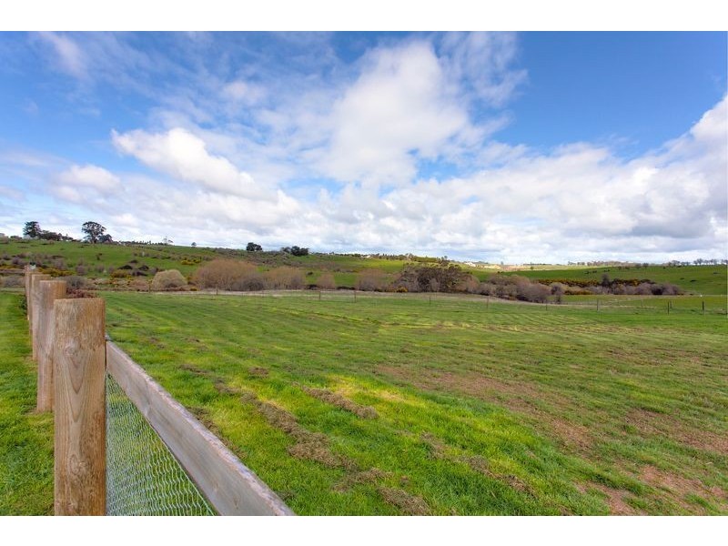 163 Judds Road, Scarsdale VIC 3351