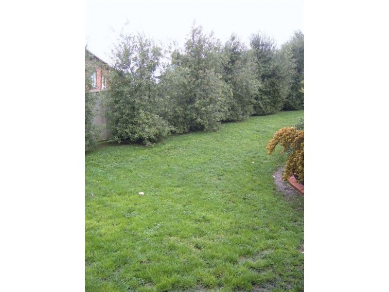 1016 Lal Lal Street, Buninyong VIC 3357