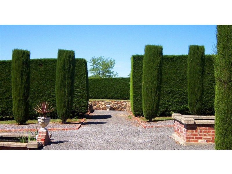 238 Dairy Flat Road, Musk VIC 3461