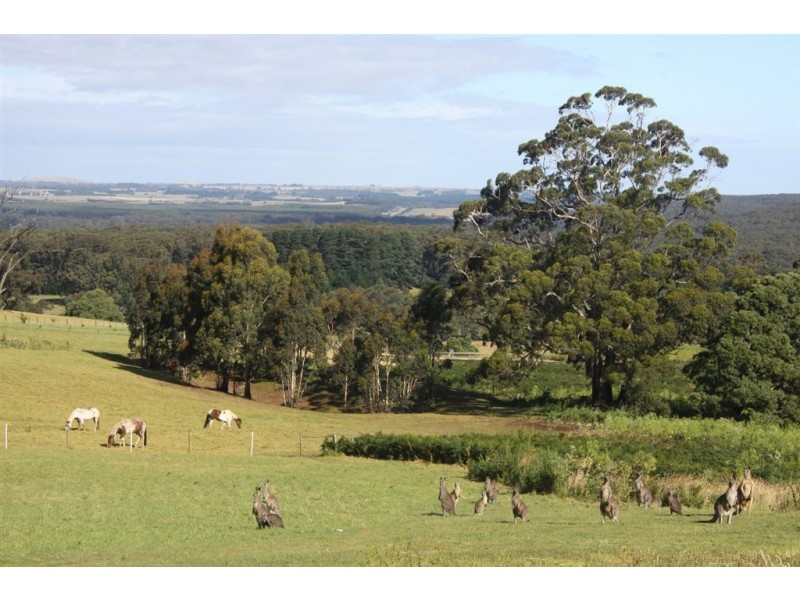 51 Molesworth Court, Gordon VIC 3345