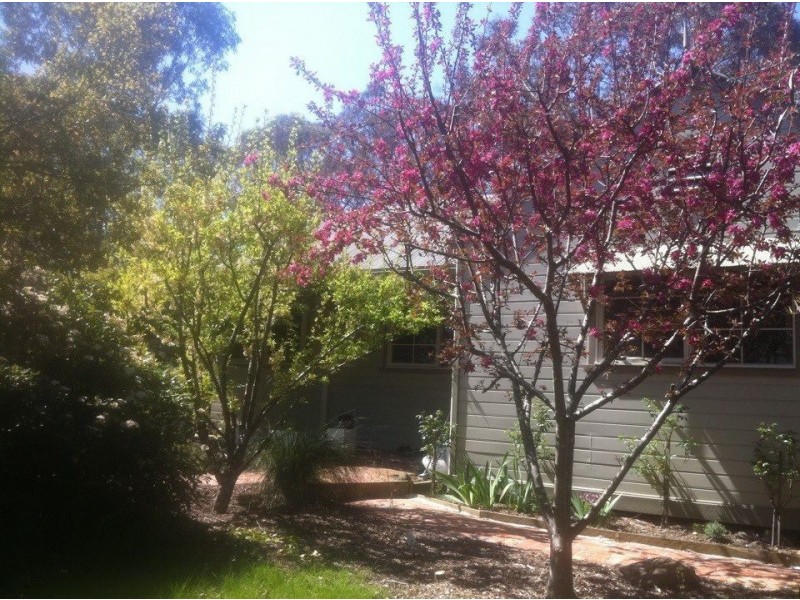 39 Young Street, Linton VIC 3360