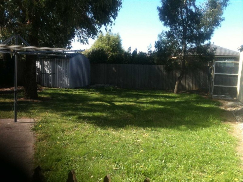 81 Hill Street, Sebastopol VIC 3356