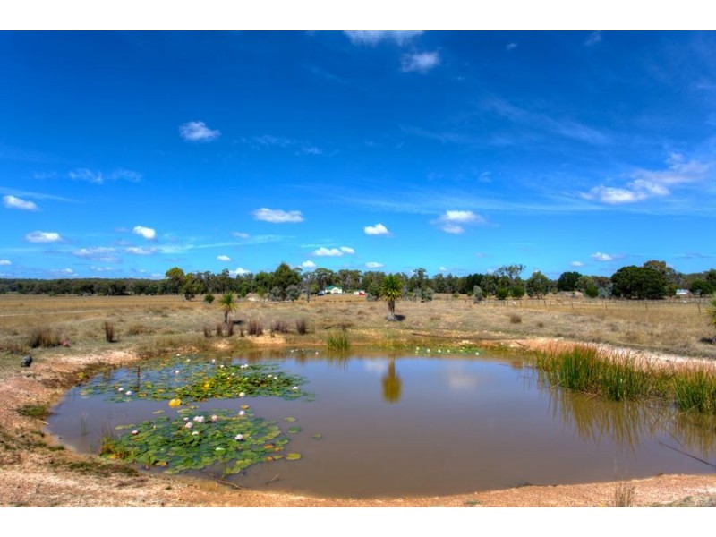 173 Halls Lane, Snake Valley VIC 3351