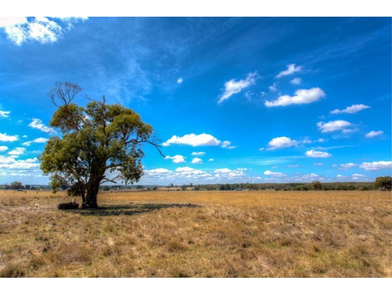 173 Halls Lane, Snake Valley VIC 3351