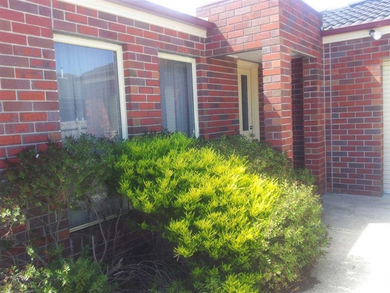 3/41 Yarrowee Street, Sebastopol VIC 3356