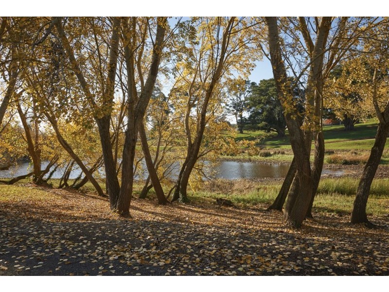 109 Yuille Street, Buninyong VIC 3357