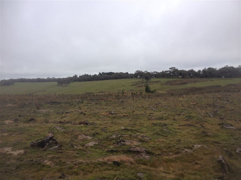 Lot 6 Salvo Bend Road, Berringa VIC 3351