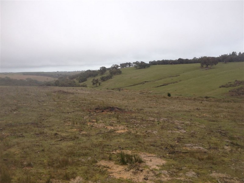 Lot 6 Salvo Bend Road, Berringa VIC 3351