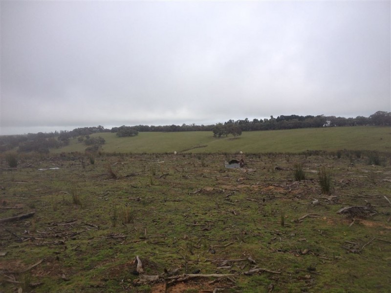 Lot 6 Salvo Bend Road, Berringa VIC 3351