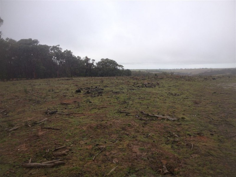 Lot 6 Salvo Bend Road, Berringa VIC 3351