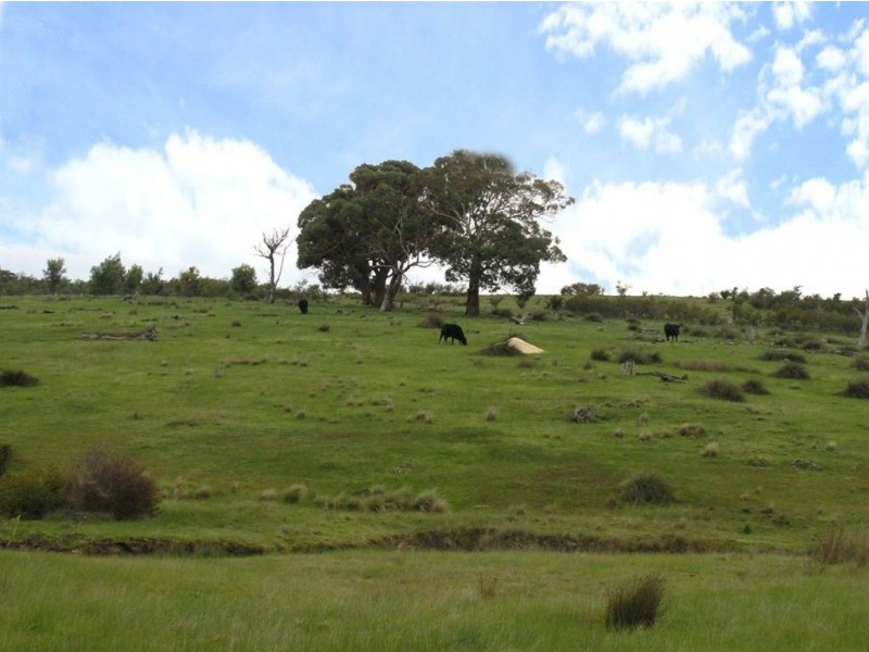 Lot 1 Moonlight Road, Berringa, Scarsdale VIC 3351