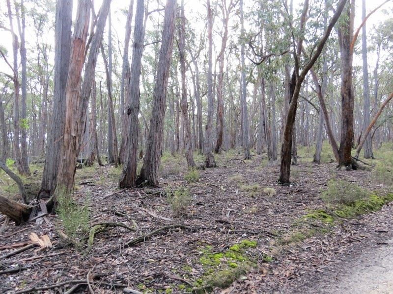 Lot 1 Nidschelms Lane, Durham Lead VIC 3352