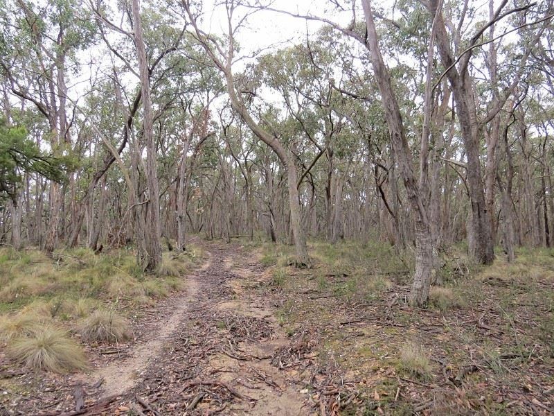 Lot 1 Nidschelms Lane, Durham Lead VIC 3352