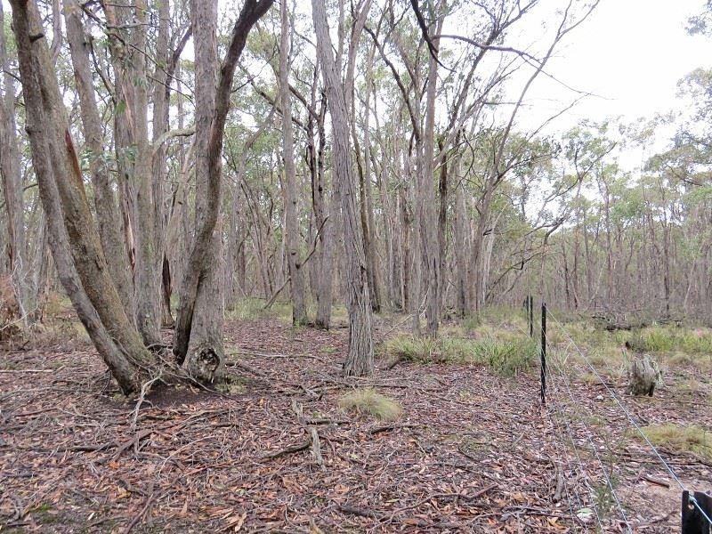 Lot 1 Nidschelms Lane, Durham Lead VIC 3352