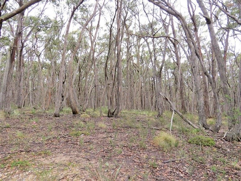 Lot 1 Nidschelms Lane, Durham Lead VIC 3352