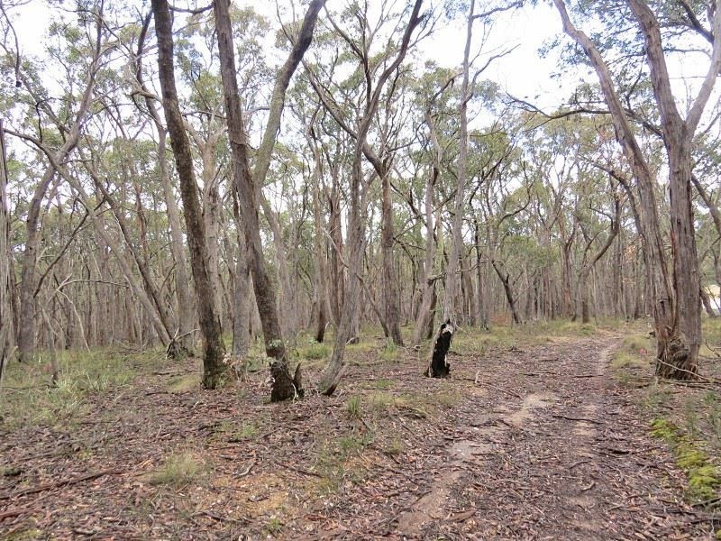 Lot 1 Nidschelms Lane, Durham Lead VIC 3352