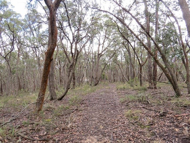 Lot 1 Nidschelms Lane, Durham Lead VIC 3352