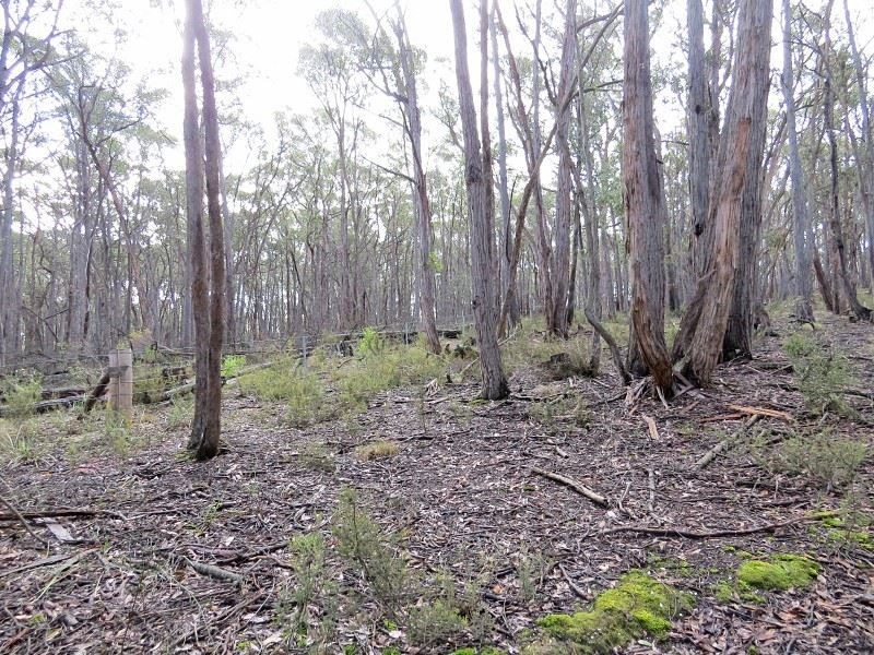 Lot 1 Nidschelms Lane, Durham Lead VIC 3352