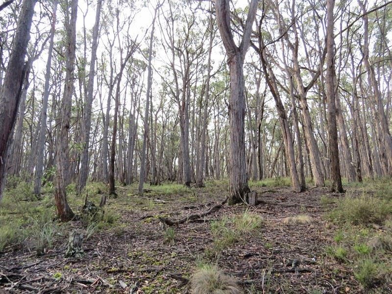 Lot 1 Nidschelms Lane, Durham Lead VIC 3352