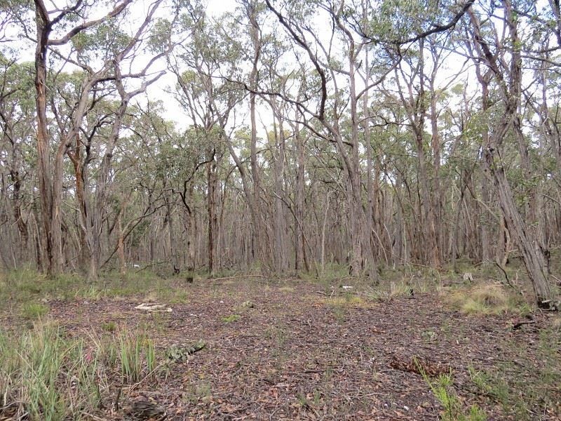 Lot 1 Nidschelms Lane, Durham Lead VIC 3352