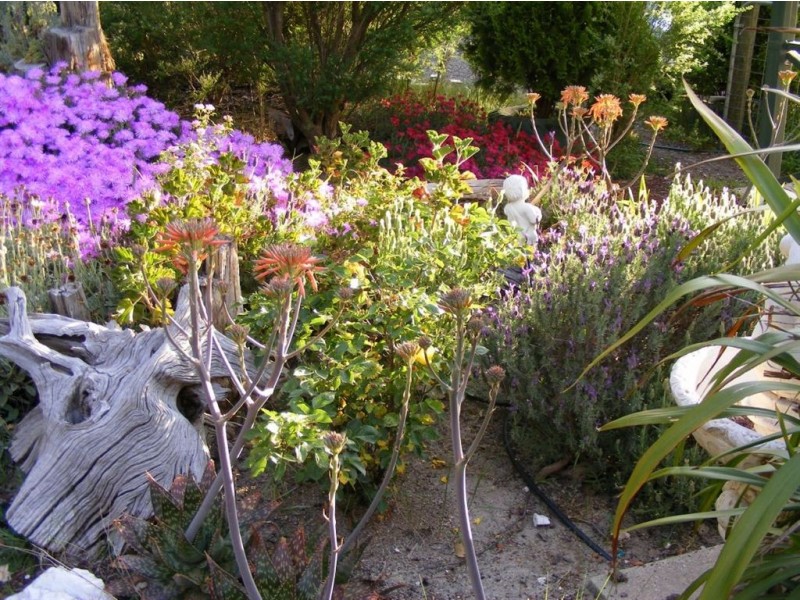 10 Lantana Road, Enfield VIC 3352