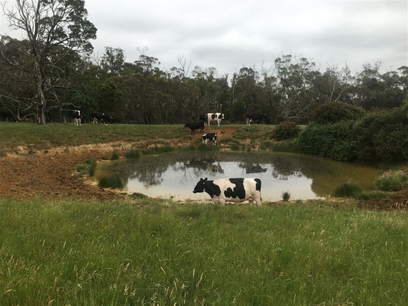 CA 5 Malones Road, Clarendon VIC 3352