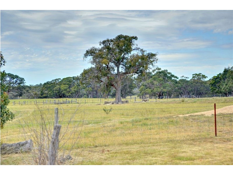 100 Lewis Road, Elaine VIC 3334