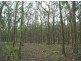 Lot 7C Ross Creek – Haddon Road, Nintingbool VIC 3351