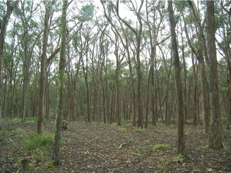 Lot 7C Ross Creek – Haddon Road, Nintingbool VIC 3351