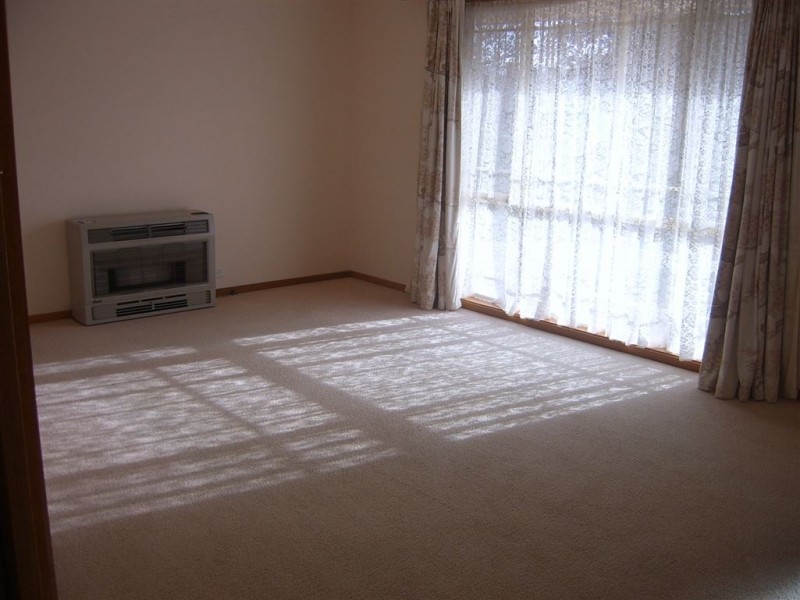 805 Tress Street, Mount Pleasant VIC 3350