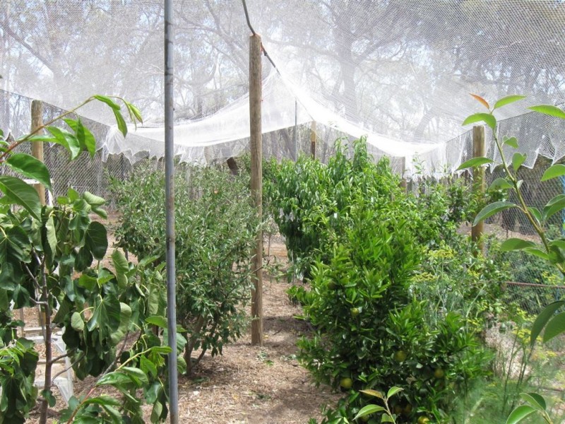 75 Acacia Road, Broomfield VIC 3364