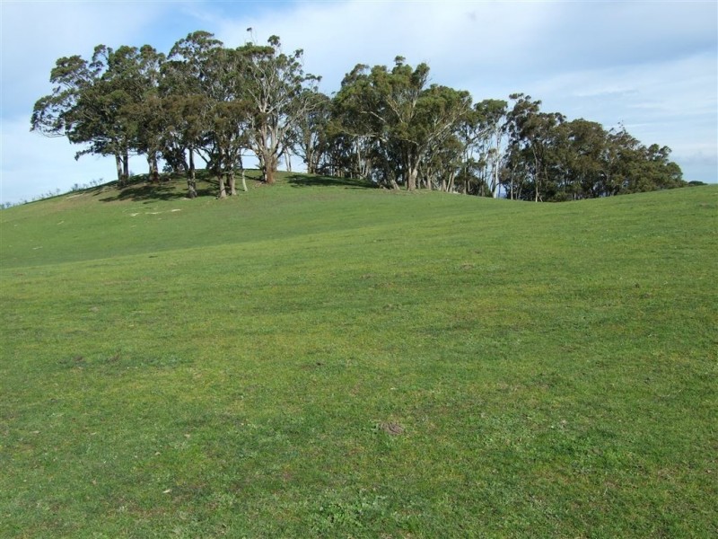 12 Nashs Road, Buninyong VIC 3357