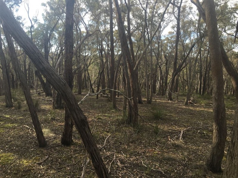 320 Ferrers Road, Dereel VIC 3352