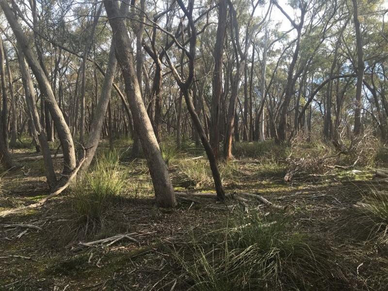 320 Ferrers Road, Dereel VIC 3352