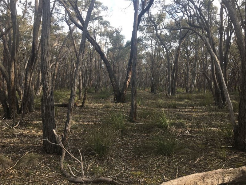 320 Ferrers Road, Dereel VIC 3352